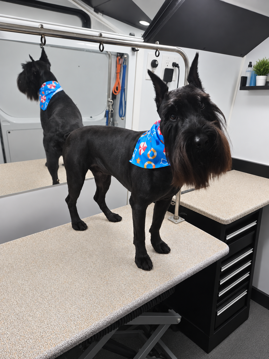 Grooming photo 6